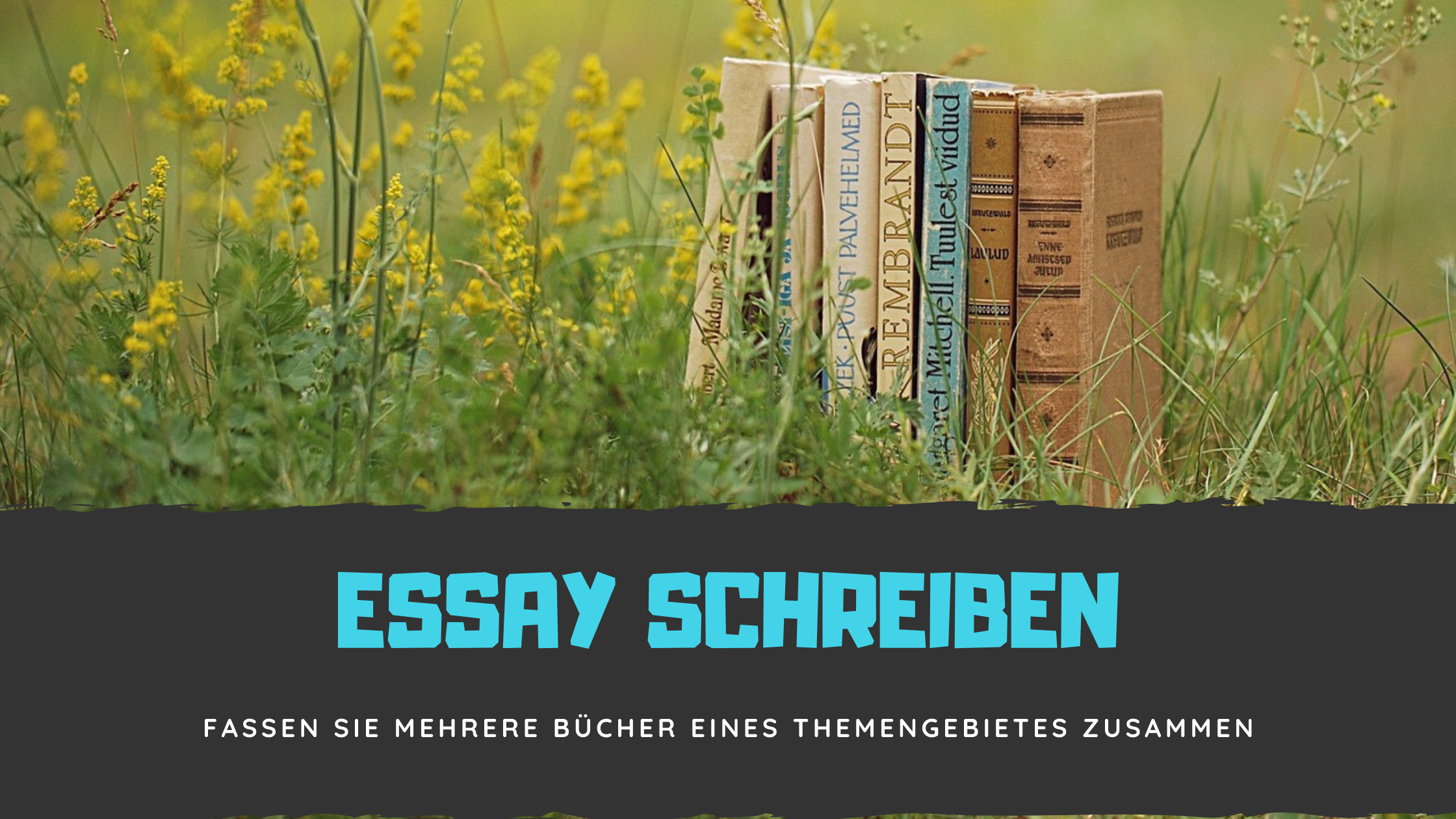 Banner: Wie Sie einen Essay zu mehreren Büchern schreiben