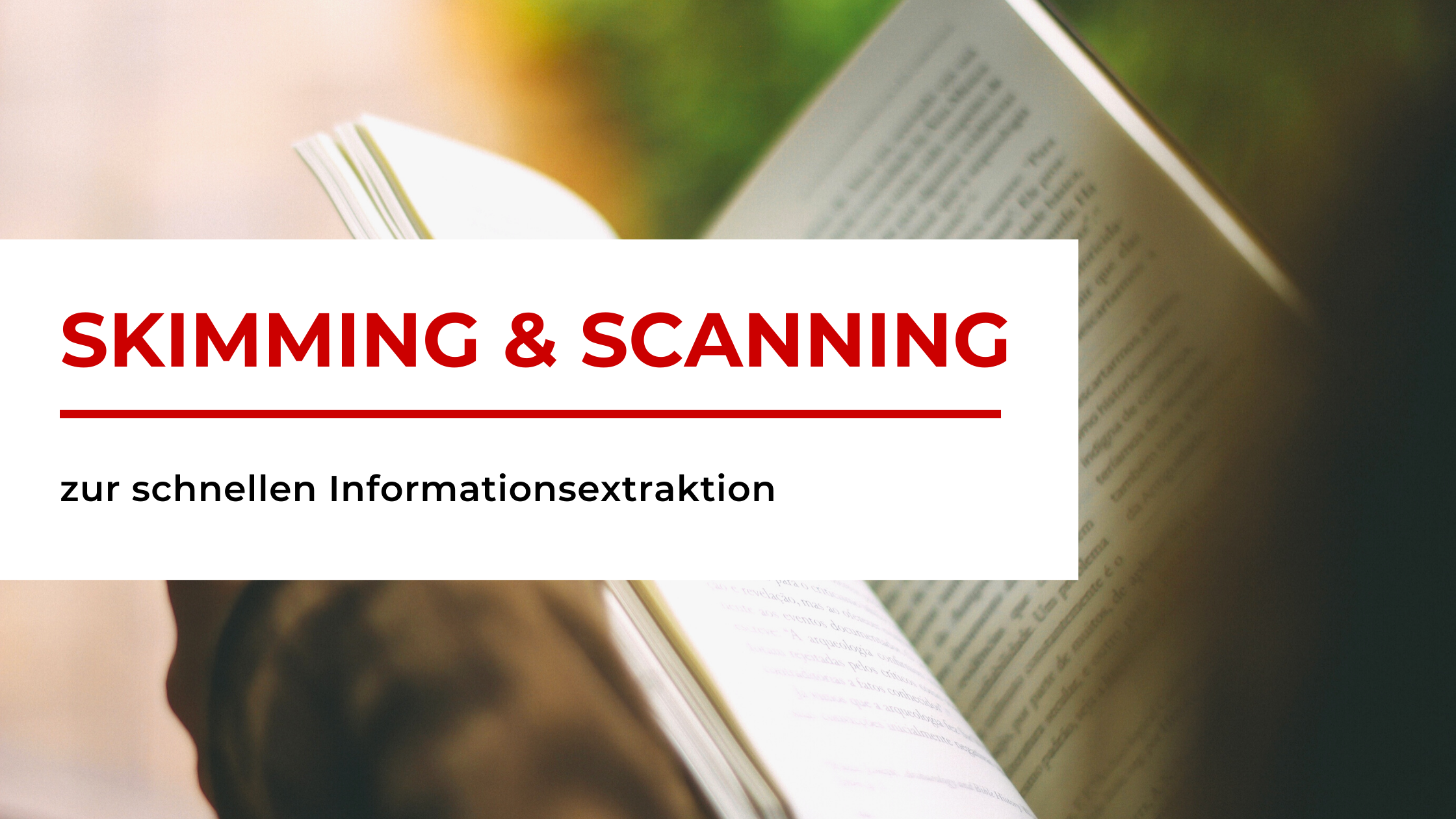 Banner: Skimming und Scanning zur Informationsextraktion