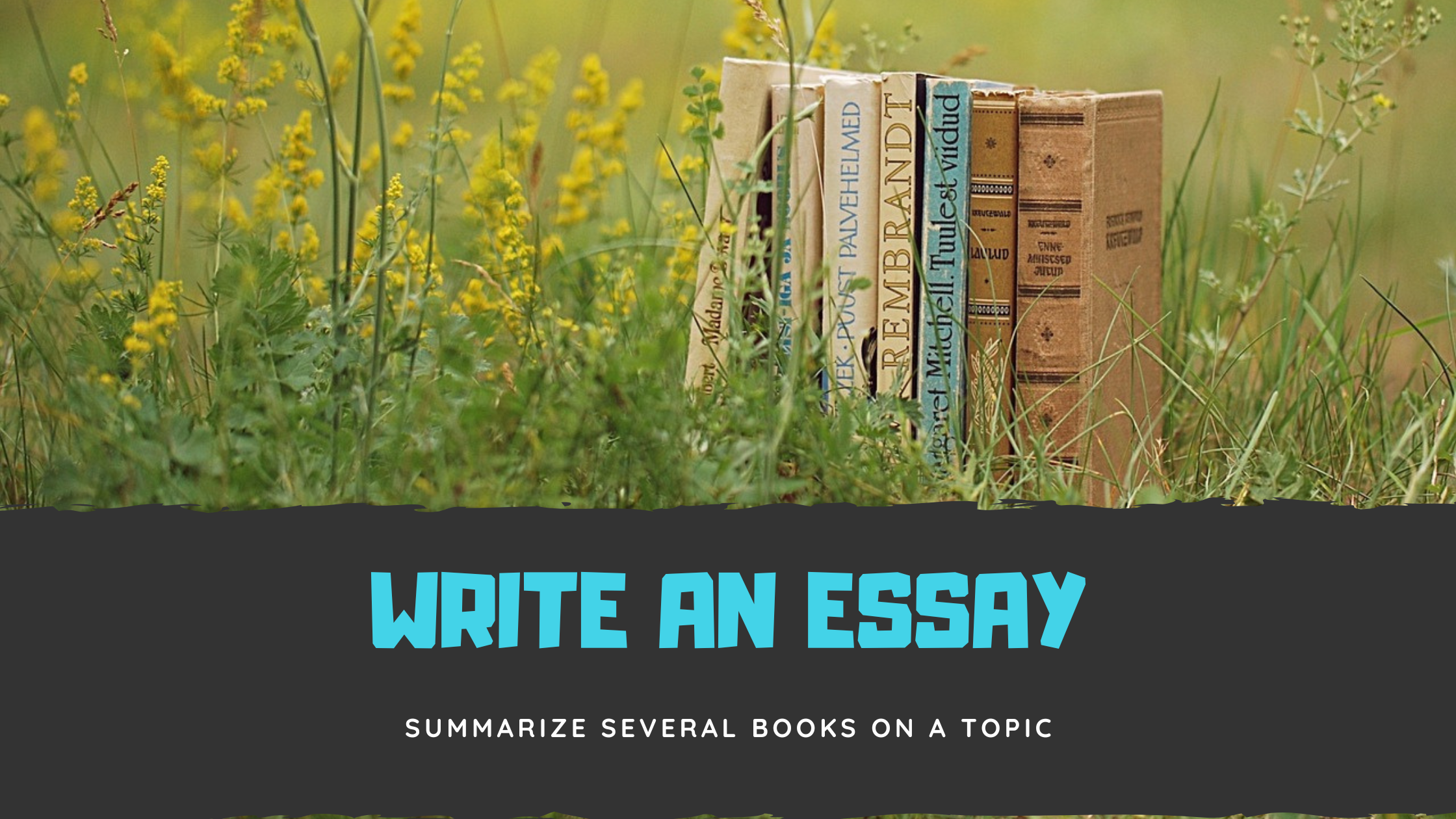 Banner: How to write an essay on books